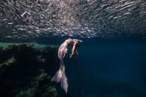 Unterwassershooting mit Meerjungfrau Mermaid Kat